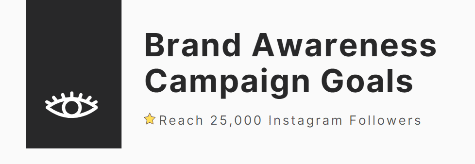 Brand Awareness Campaign Goal Example With Icon and Text.