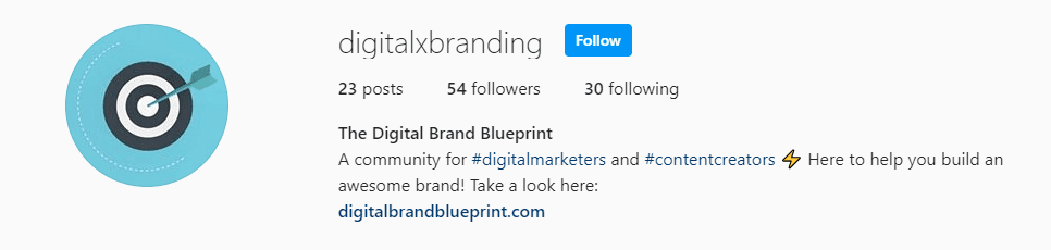 Brand Instagram Profile Example With Bio and Website Link. 